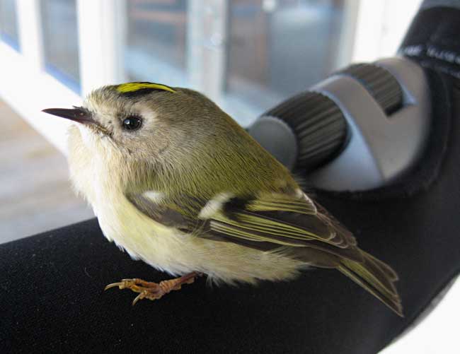 Bild3
