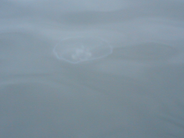 Dsc00500