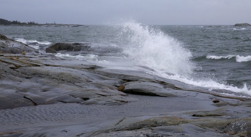 Img 0140