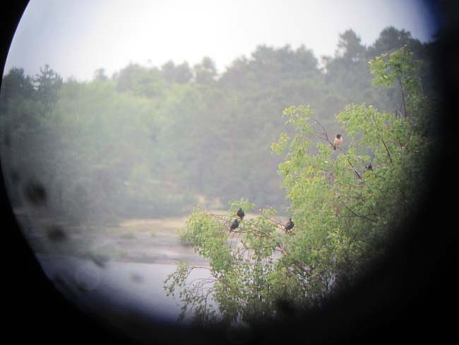 Img 0791E