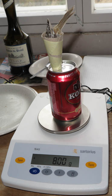 Img 1719