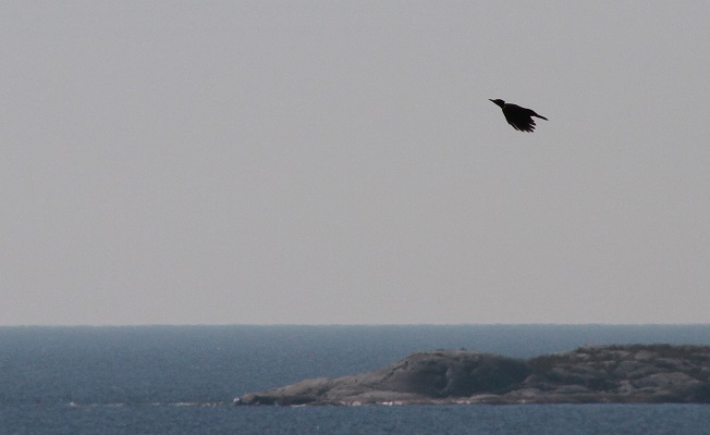 Img 7046-1