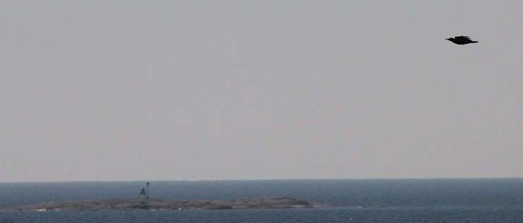 Img 7047-1