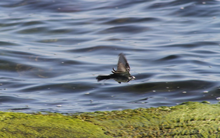 Img 7161