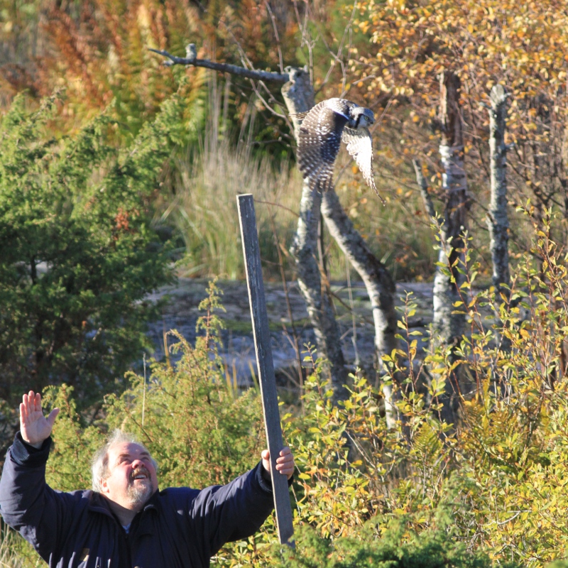 Jyrki Ja Hipo