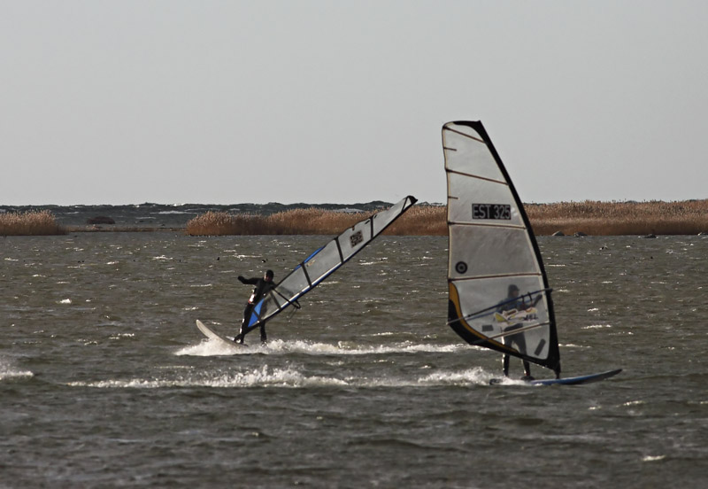 Surfare