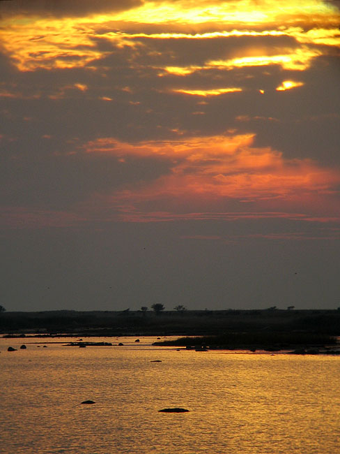 Suurrahu Net