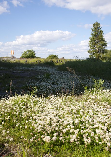 Apilapolku Mg 0616