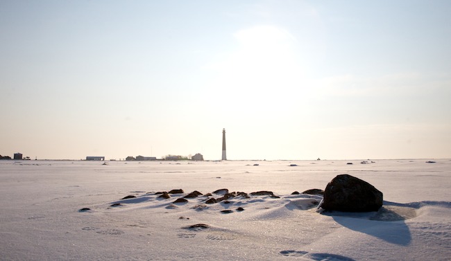 Arktiset308
