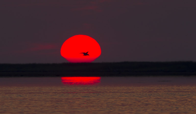 Auringonlasku-0256
