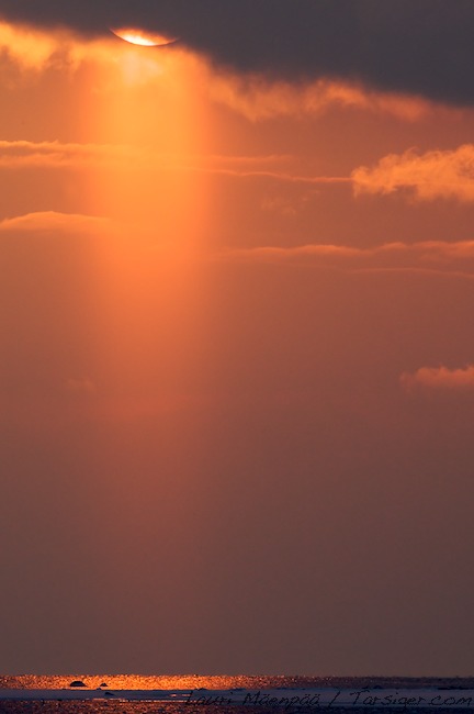 Auringonlasku