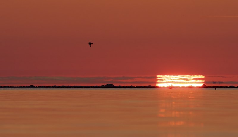 Auringonlasku