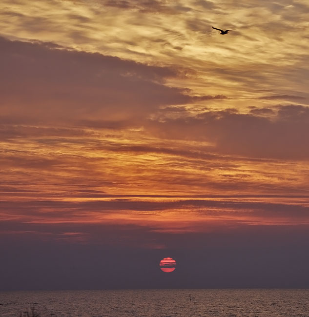 Auringonnousu3800