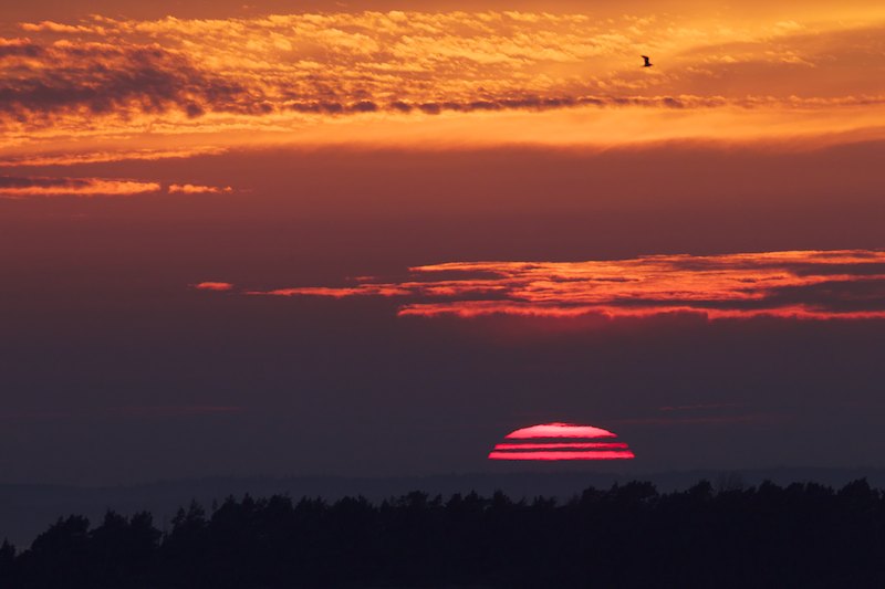 Aurinko A7F6222