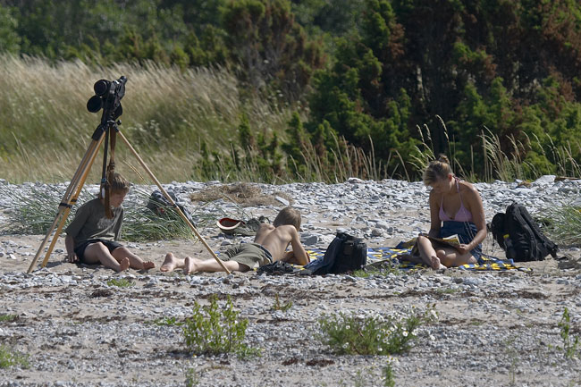 Beach 8492