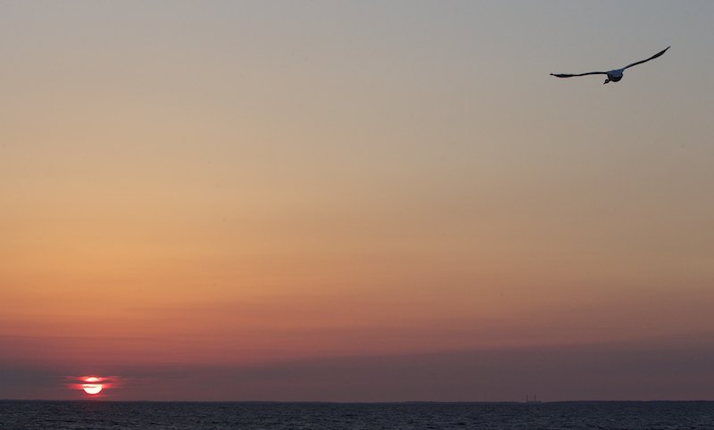 Colo10A7F5305