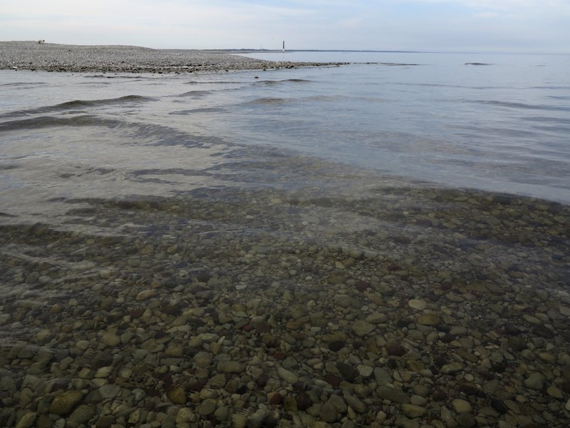 Etelakarkiimg 5394