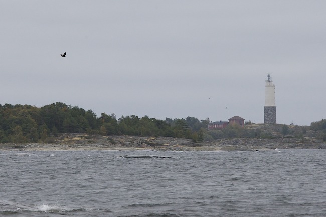 Halijamajakka A1G2125