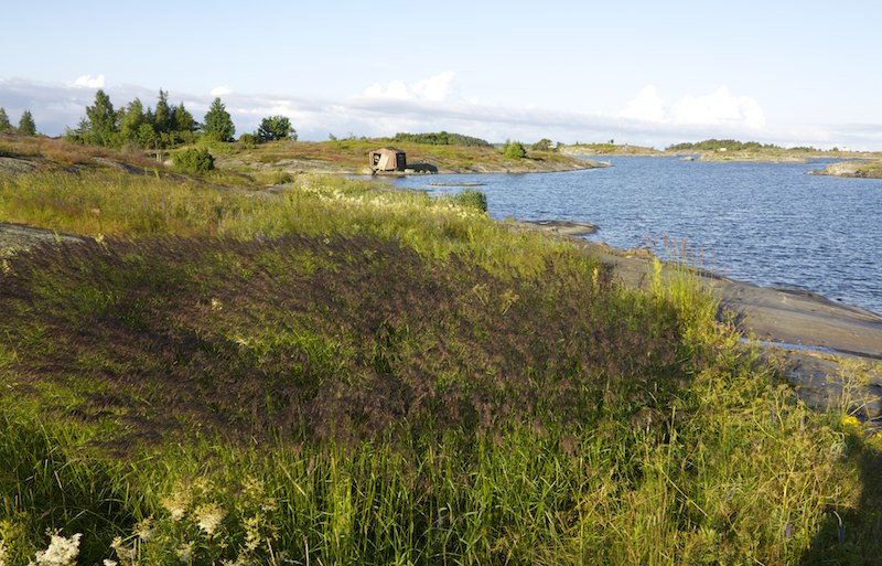 Heinaimg 5254