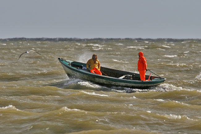 Heinmaa6409
