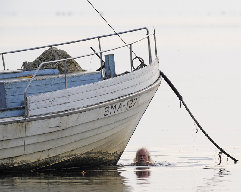 Hirvi290714 008