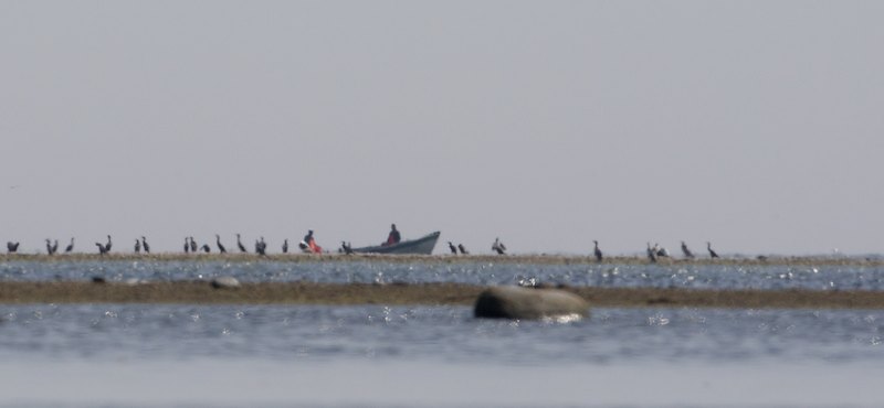 Kalastajat A1G0543