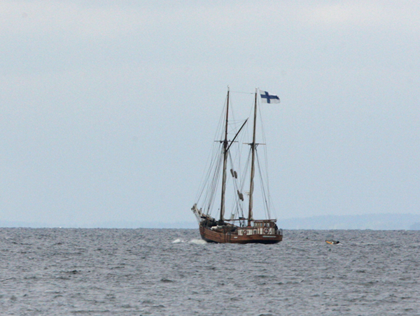 Laiva
