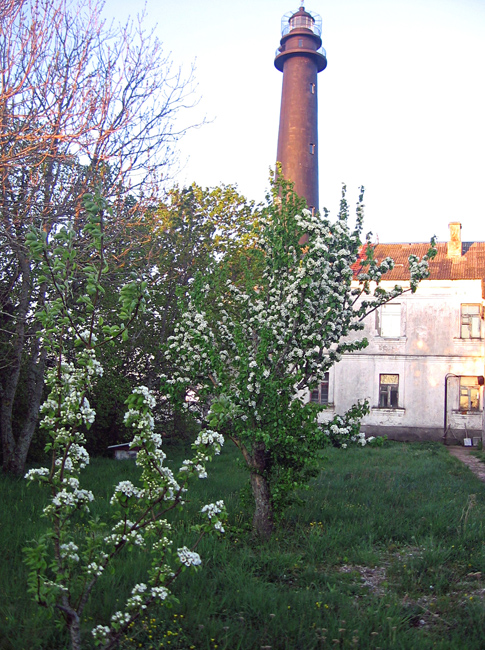 Majakka