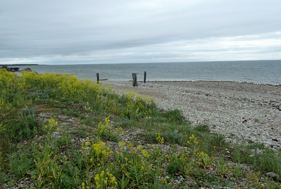 Puhallis