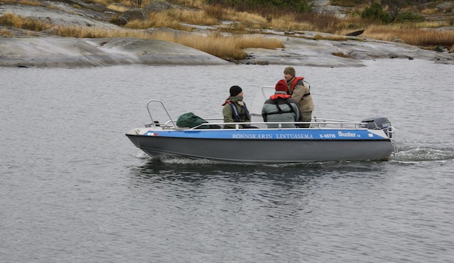Saapujatvene