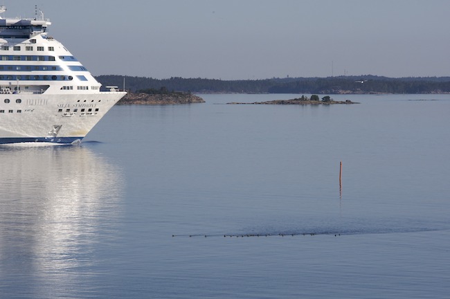 Silja A1G8517