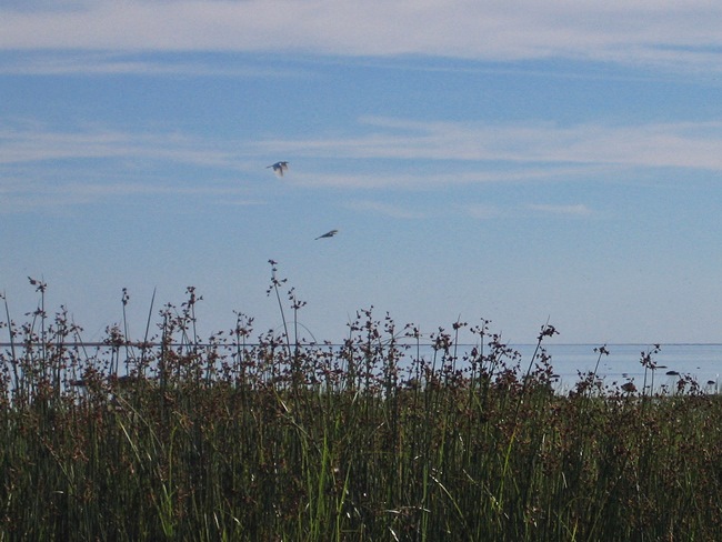 Sla0815 3759