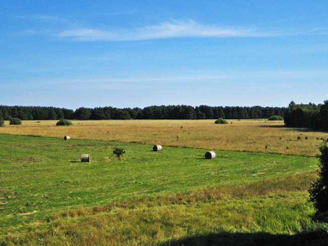 Sla0820 3964