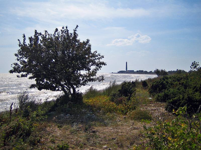 Sla0825 4050
