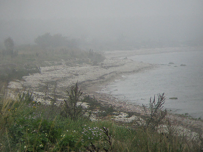 Sumu