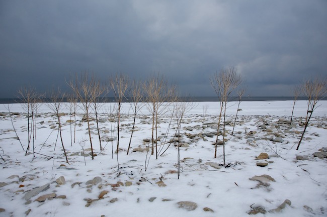 Torottajat