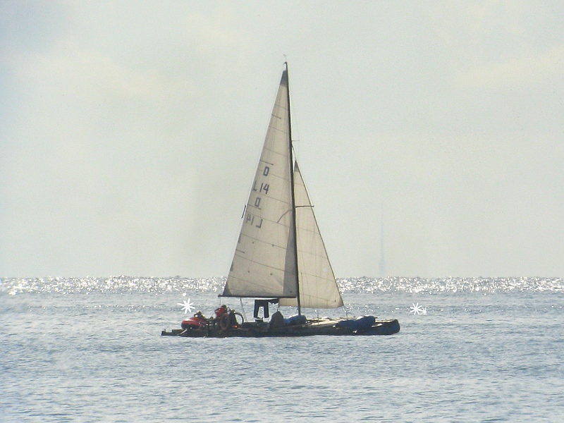 Vene800