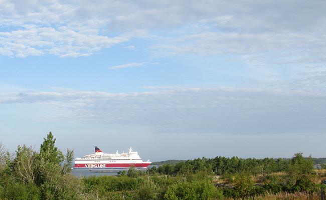 Viginline 650